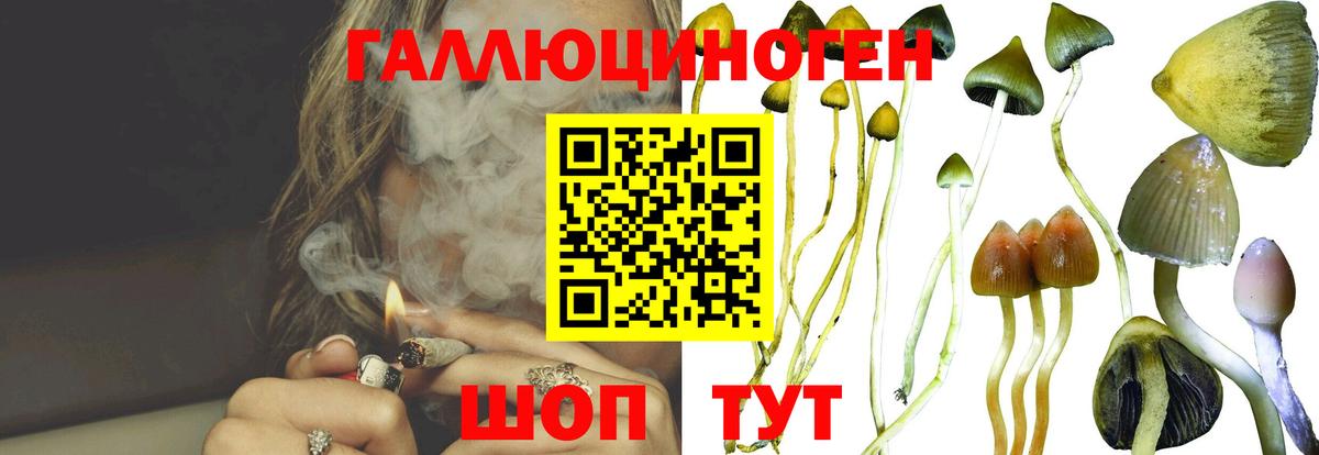 Псилоцибиновые грибы GOLDEN TEACHER Джанкой